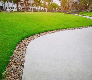 Smooth green grass lawn and gray curve pattern walkway, sand washed finishing on concrete paving with brown gravel border, trees with supporting and shrub in a good care maintenance landscape and garden