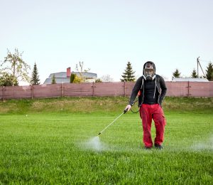 Farmers spraying pesticide on lawn field wearing protective clothing. Insecticide sprayer with a proper protection. Treatment of grass from weeds and dandelion. Copy space. Gardening care season. Man.