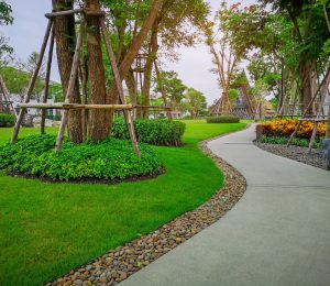 Greenery bush and trees in garden with gray curve pattern walkway, sand washed finishing on concrete paving and brown gravel border, smooth green grass lawn, shrubs in a good care maintenance landscapes